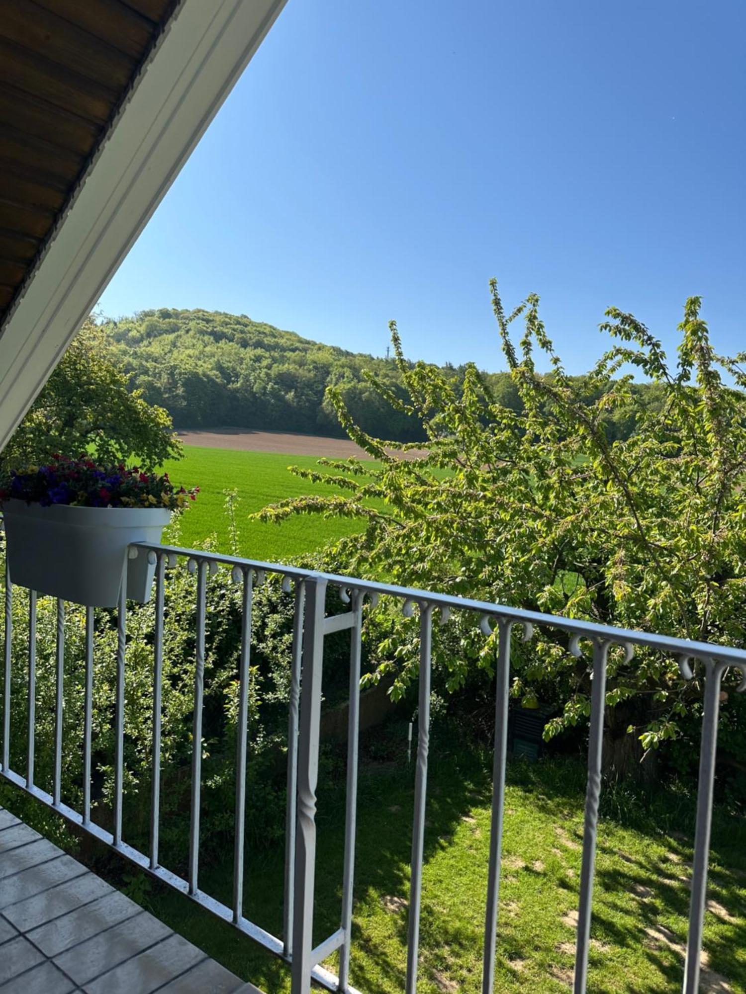 Deisterblick Ferienwohnung Am Benther Berg 겔든 외부 사진